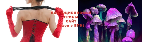 ешки Аркадак