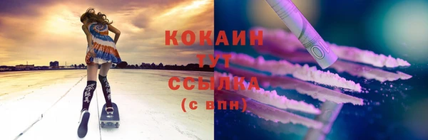 ешки Аркадак
