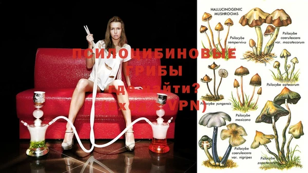 ешки Аркадак