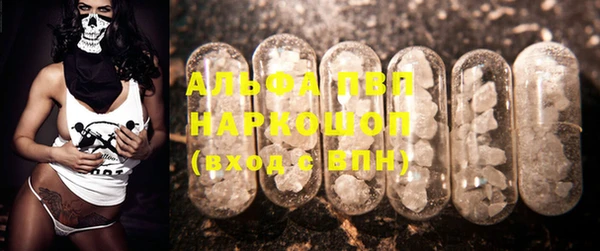 ешки Аркадак
