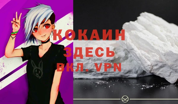 ешки Аркадак