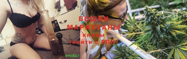 ешки Аркадак